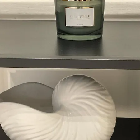 Appartement Grand D'exception Au Château Randin Écully
