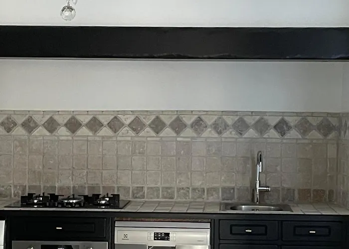 Grand D'exception Au Chateau Randin Apartamento Écully